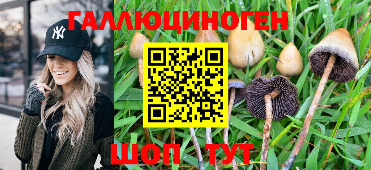 Галлюциногенные грибы MAGIC MUSHROOMS Родники