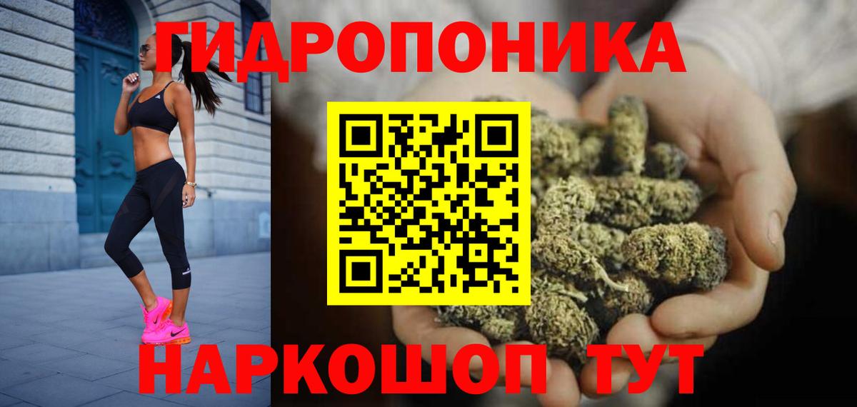 Конопля планчик Родники